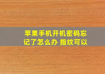 苹果手机开机密码忘记了怎么办 指纹可以